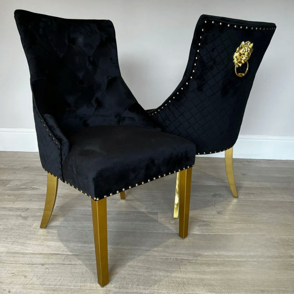 Gold Lion Modern Classy Black Velvet Cushioned and Comfortable Dining Room Chairs in Gold Stainless Steel Frame