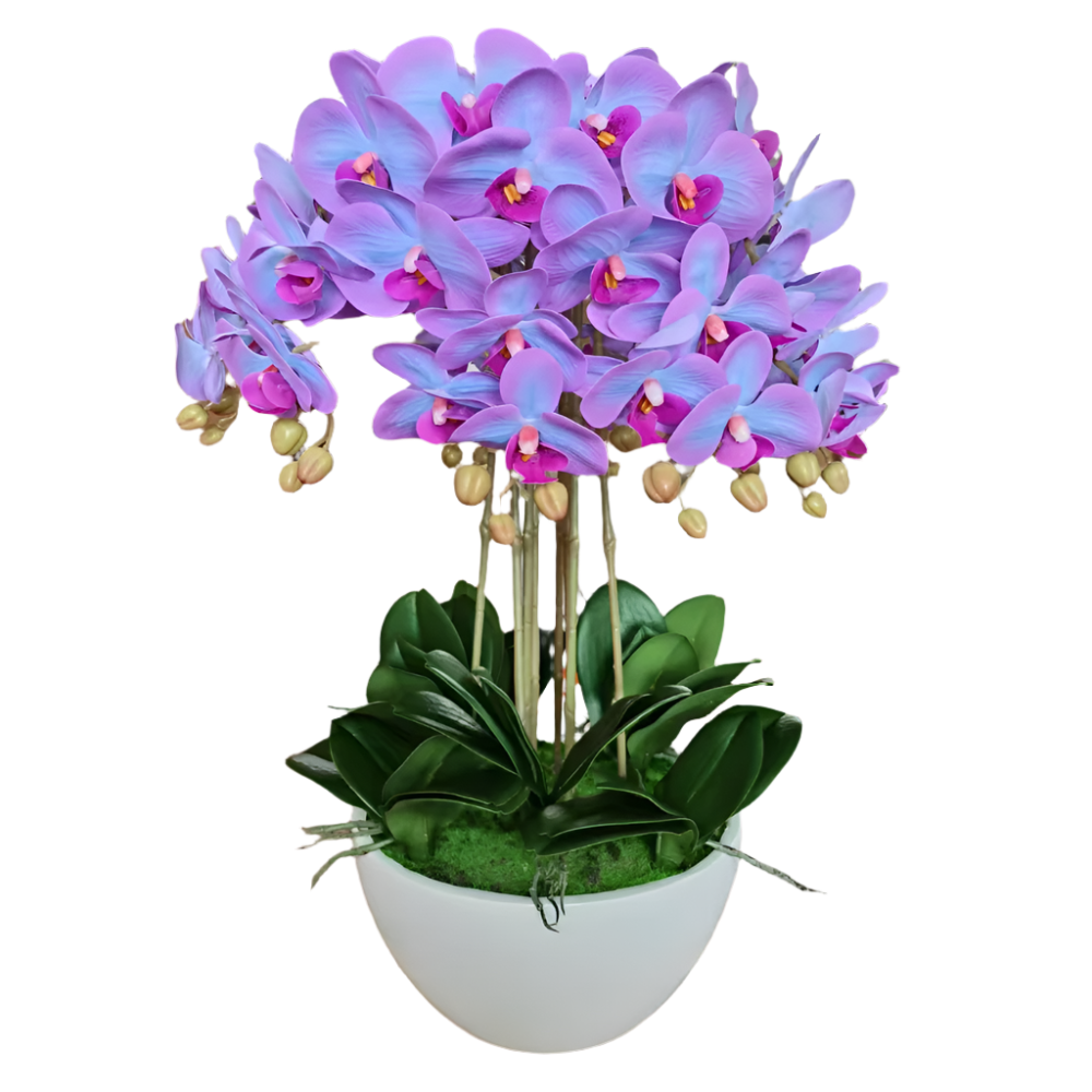 Large Purple Orchid and White Pot Available at RBM Classic Home