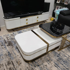 Junior Modern-Designed Classic TV Stand with 2 Drawers in Gold Stainless Steel Frame