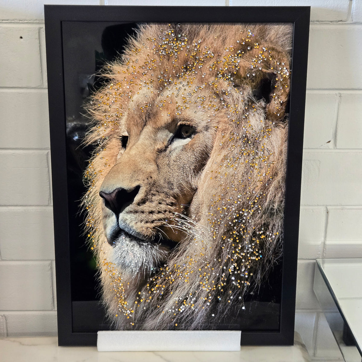 Decorative Wall Art - Animals