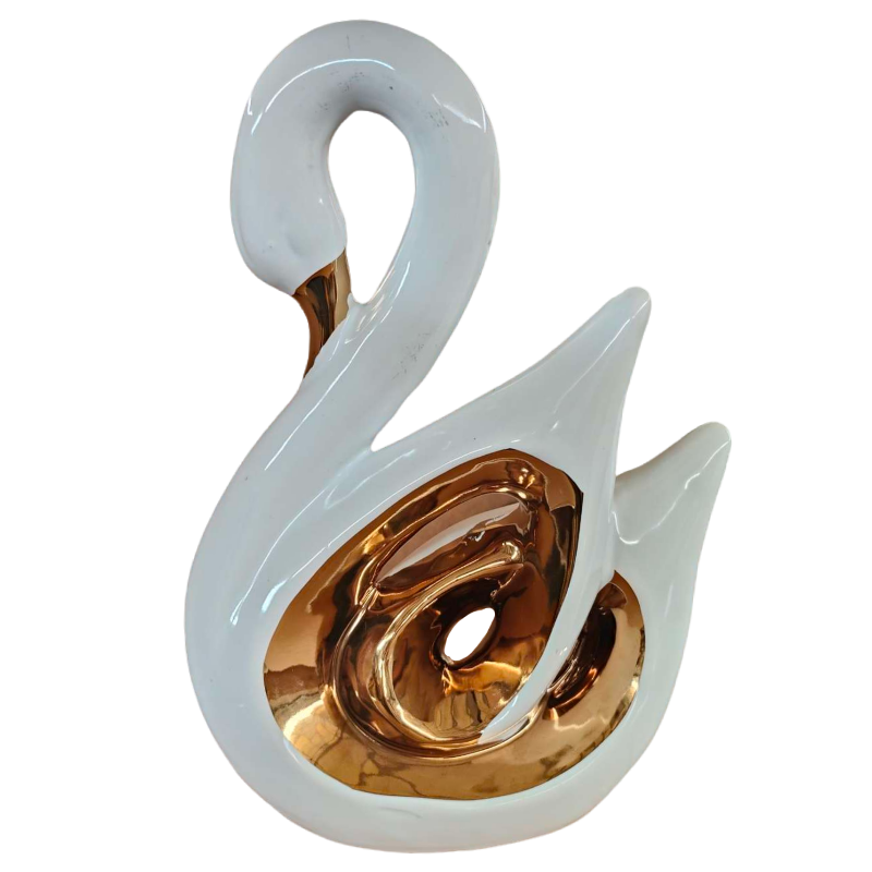 Young Decorative Swans