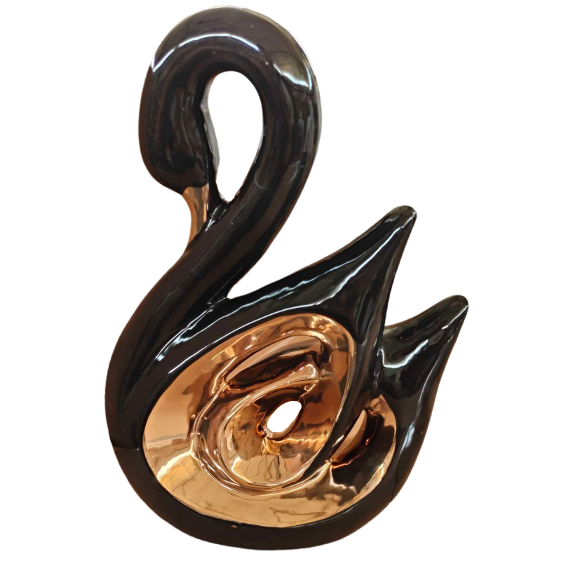 Young Decorative Swans