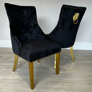 Gold Lion Modern Classy Black Velvet Cushioned and Comfortable Dining Room Chairs in Gold Stainless Steel Frame