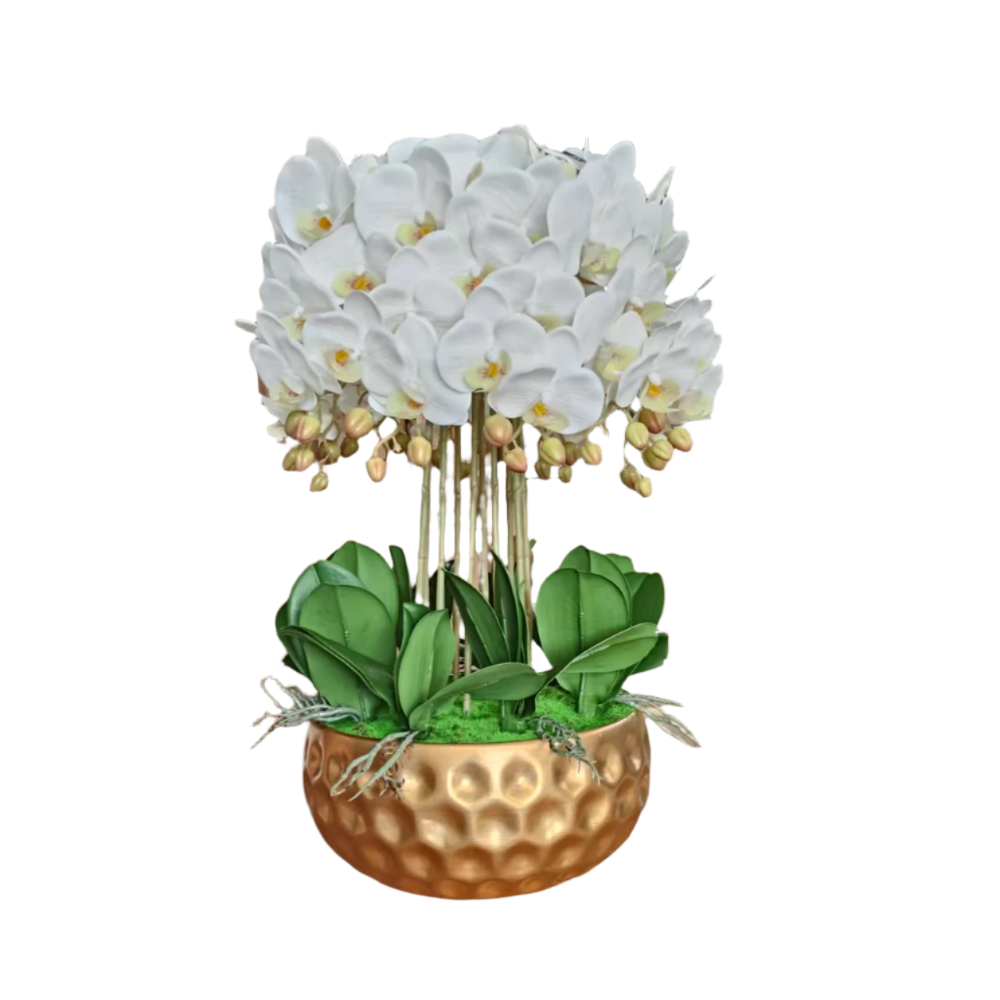 Modern and Stylish White Orchid and Golden Pot Available at RBM Classic Home