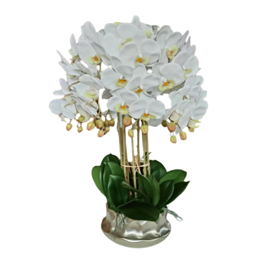 Large Stylish White Orchid and Silver Pot Available at RBM Classic Home