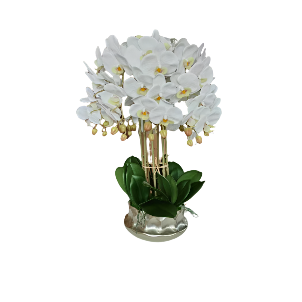Large Stylish White Orchid and Silver Pot Available at RBM Classic Home