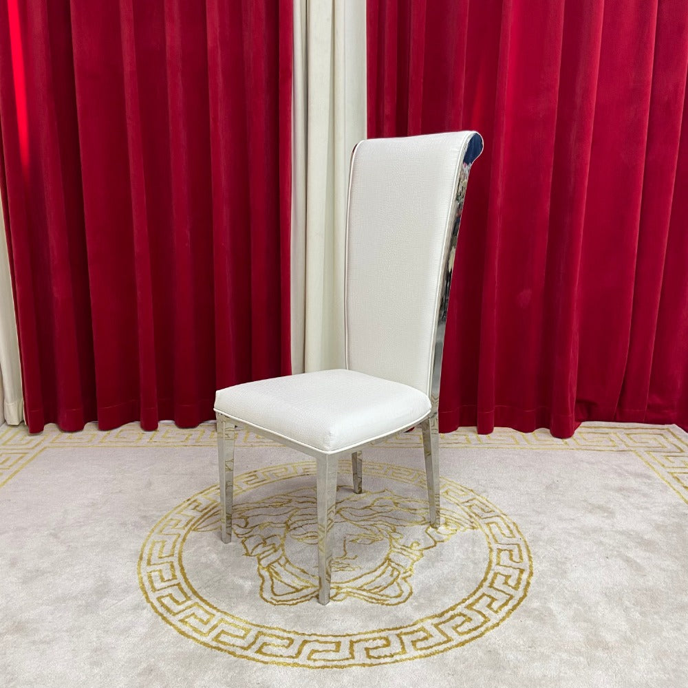 RBM Classic Home an Online Family Furniture with Various Modern Classic Dining Room Chairs in White Leather with Silver Stainless Steel Frames