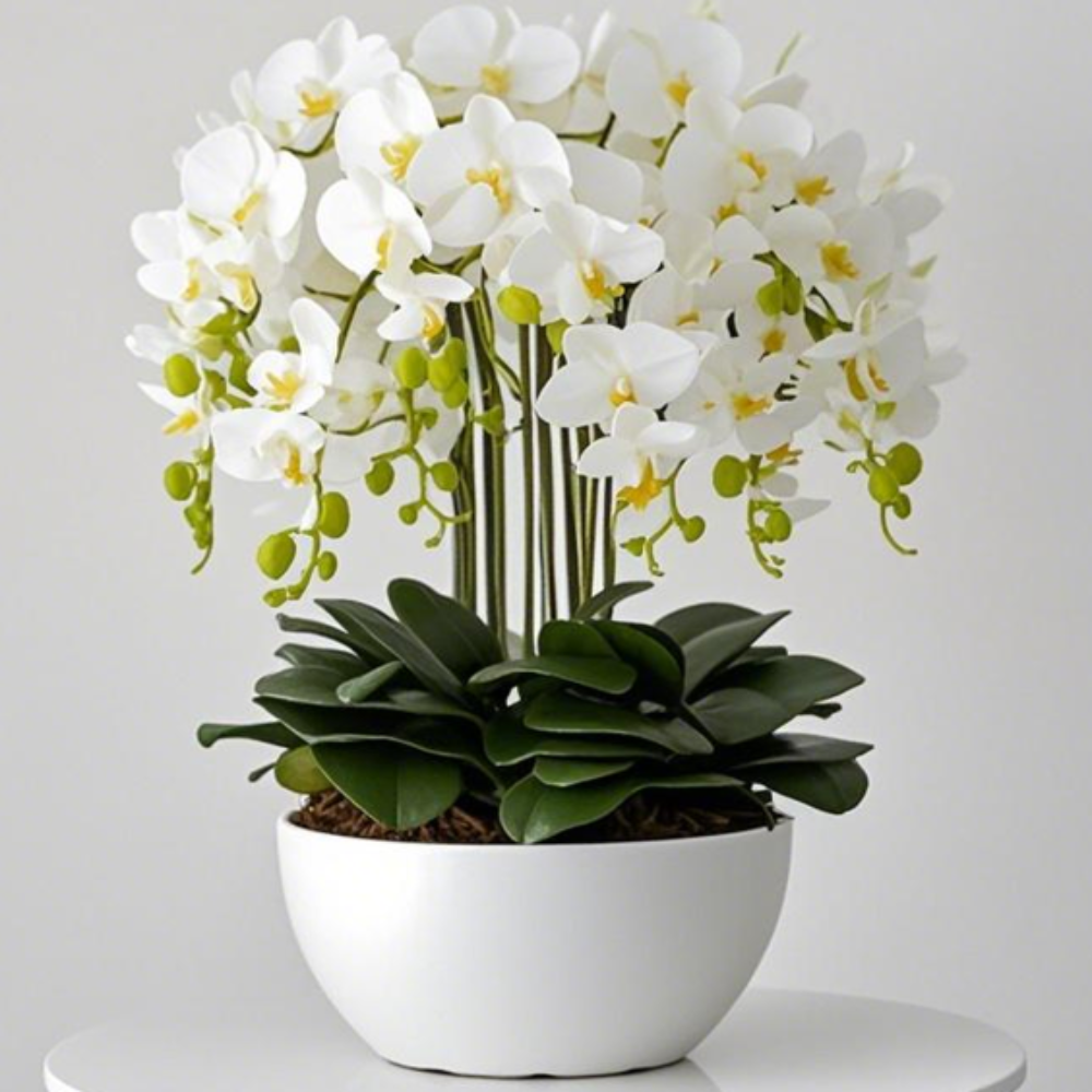 Large White Orchid and White Pot Available at RBM Classic Home