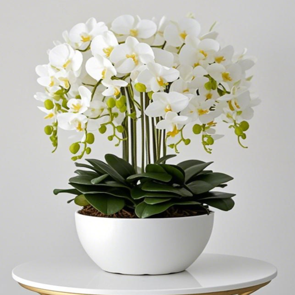 Large White Orchid and White Pot Available at RBM Classic Home