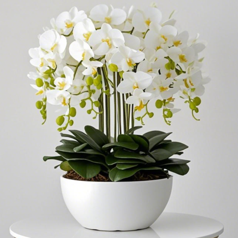 Large Modern White Orchid and White Pot Available at RBM Classic Home