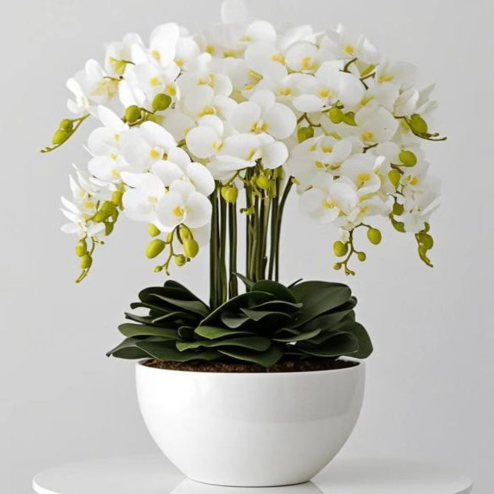 Small White Orchid and White Pot Available at RBM Classic Home