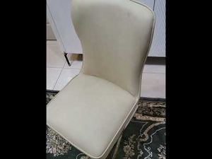 Exclusive and Modern Cream Leather Dining Room Chair in Silver Stainless Steel Frame