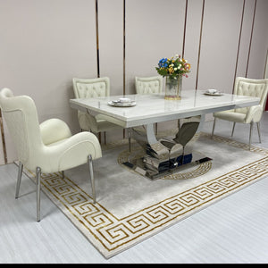 Marble Dining Table with 6 Chairs in Silver Stainless steel frame